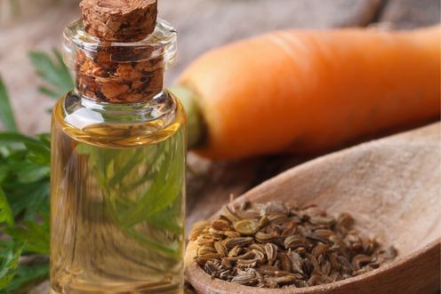CARROT SEED OIL